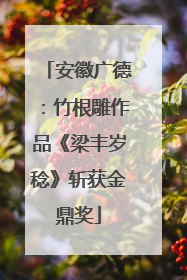 安徽广德：竹根雕作品《梁丰岁稔》斩获金鼎奖